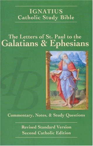 the life of saint ignatius essay the life of saint ignatius essay